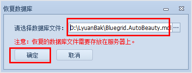 自動恢復數據,汽車美容連鎖管理系統